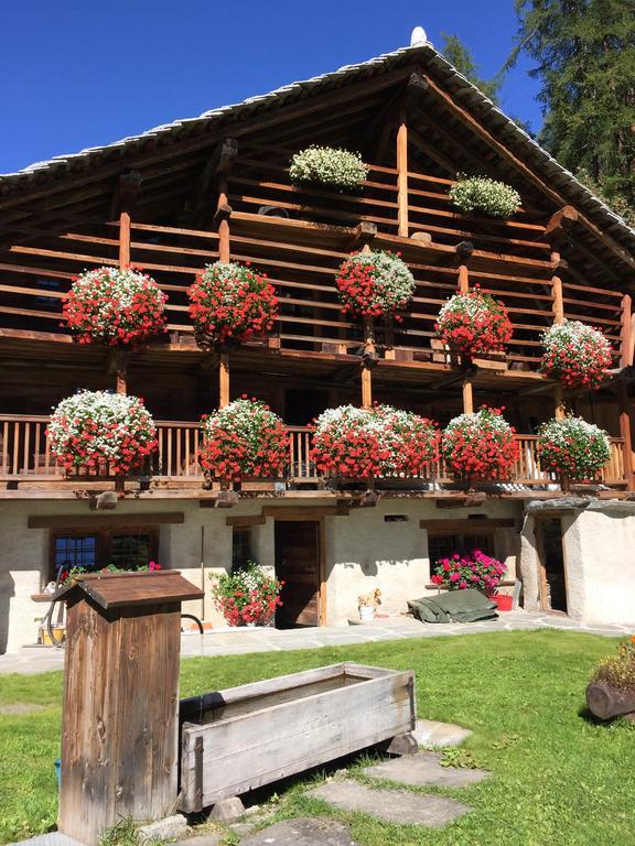 Hotel Wongade Gressoney-la-Trinité Exteriér fotografie