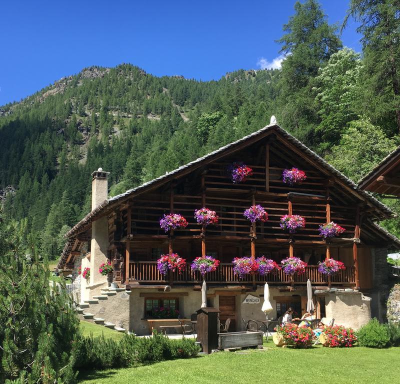Hotel Wongade Gressoney-la-Trinité Exteriér fotografie